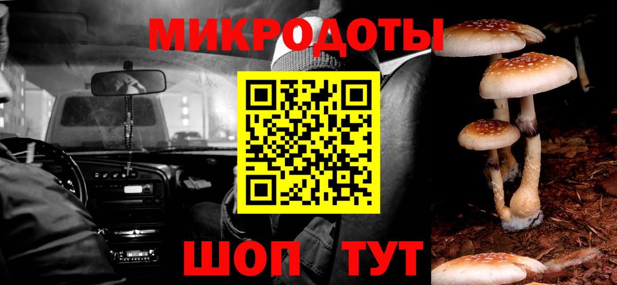 Псилоцибиновые грибы Psilocybine cubensis Анжеро-Судженск